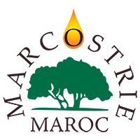 Marcostrie Marcostrie